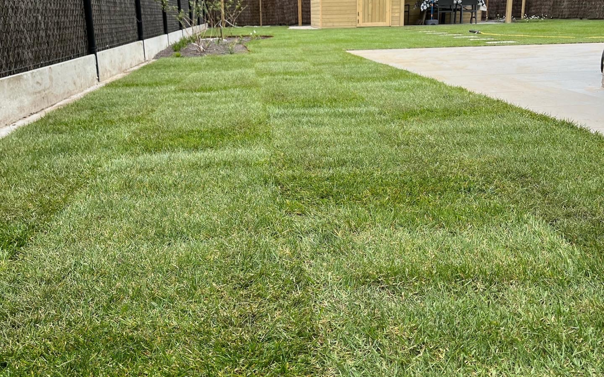 Tuinen Bram - aanleg graszoden